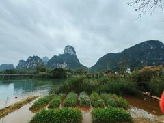 -明仕田园
