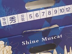-鲜力达果品批发直销(青山店)