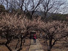 -白马涧龙池景区