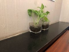 -小土豆北方菜馆(文慧园店)