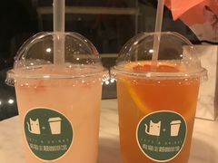 -有猫主题·治愈系猫咖(曾厝垵店)