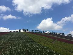 -东部华侨城