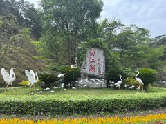 -广州白江湖森林公园