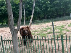 -秦皇岛野生动物园
