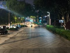 -云碧峰国家森林公园