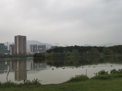 -飞来湖湿地公园