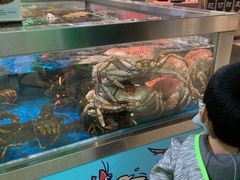 -盒马X会员店(王府井奥莱UP TOWN店)