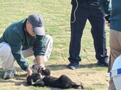 -宿豫区运河湾森林动物园