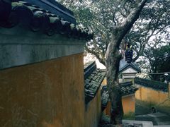 -普陀山慧济禅寺