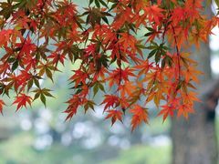 -贮水山儿童公园