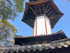 -上海佘山国家森林公园天马山园