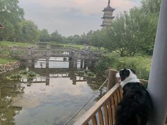 -太阳岛度假酒店