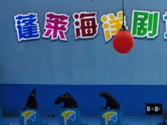 -烟台海昌鲸鲨海洋公园