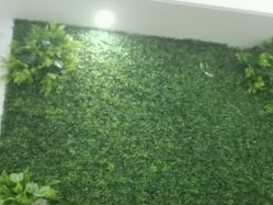 -南京医科大学友谊整形外科医院