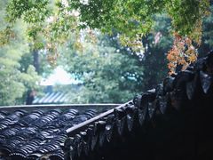 -惠山古镇·寄畅园