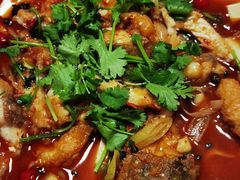 -煲来饱去冷水鱼