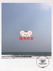 -东海岛旅游度假区