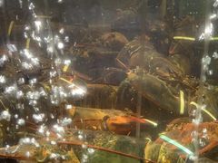 -蟹之国·精品蟹料理(极地店)