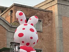 -西安电影制片厂