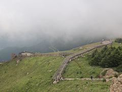 -白草畔自然风景区