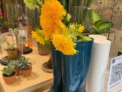 -PlantsEatery·植物食堂(REX春熙店)