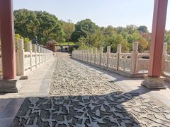 -东湖落雁景区