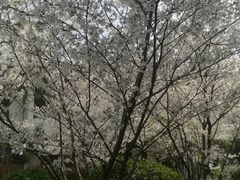 -堤角公园
