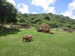 -卡塞拉自然公园