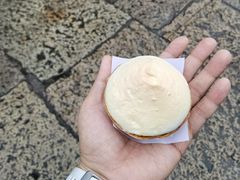 -高老太奶油小攀(新建南路店)