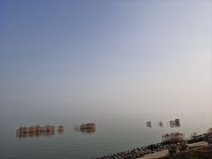 -合肥滨湖国家森林公园