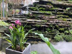 -凤来栖·净庭院·火锅(欧尚店)