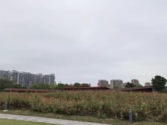 -白塘生态植物园