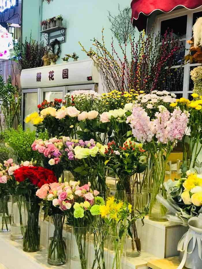 doctype html> html lang="zh-cn"> head> meta