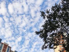 -皇家美孚(麦岛店)