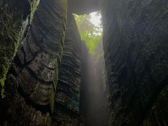 -梦幻奥陶纪景区