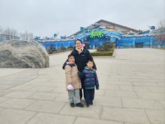 -石家庄极地海洋世界