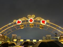 -武汉知音号