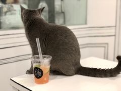 -白夜2D咖啡馆