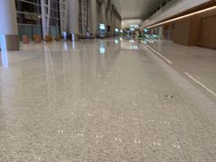 -广州白云国际机场-T2航站楼