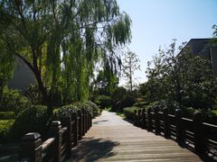 -上海崇明金茂凯悦酒店