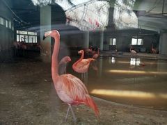 -石家庄市动物园