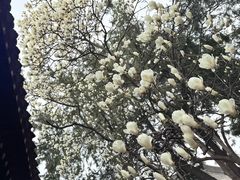 -湘子庙