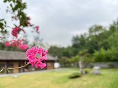 -西安博物院