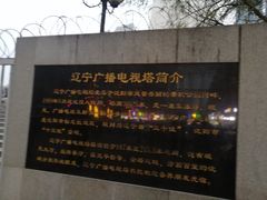 -辽宁电视塔