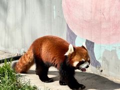 -水上乐园·欢乐世界