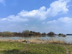 -贡湖湾湿地公园