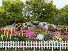 -上海共青森林公园