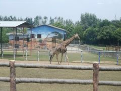 -西安秦岭野生动物园