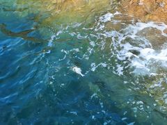 -青岛第三海水浴场