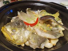 砂锅青椒酱焗黄鱼-汤城小厨•粤菜•靓汤(金宝街店)